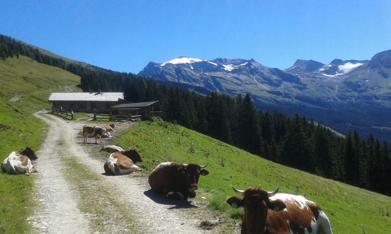 Fruehstuecks- Pension Sonnblickhof Rauris Esterno foto