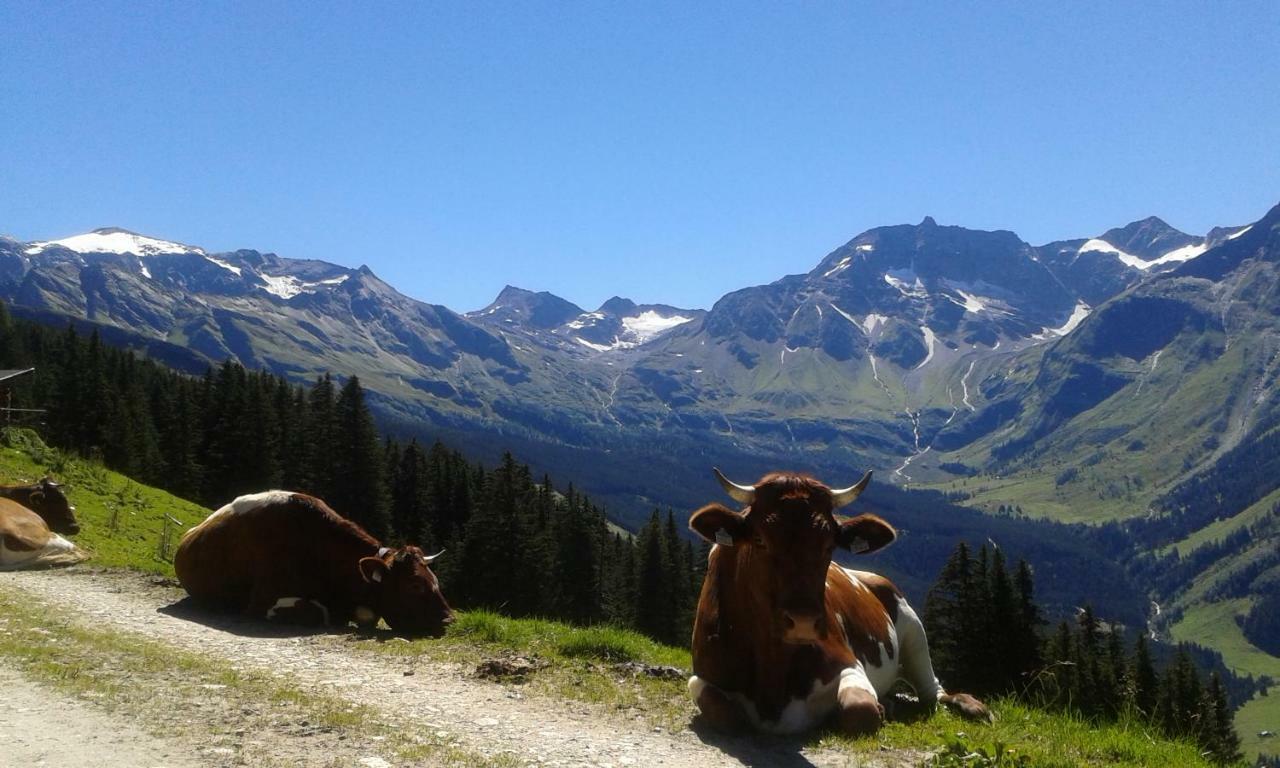 Fruehstuecks- Pension Sonnblickhof Rauris Esterno foto